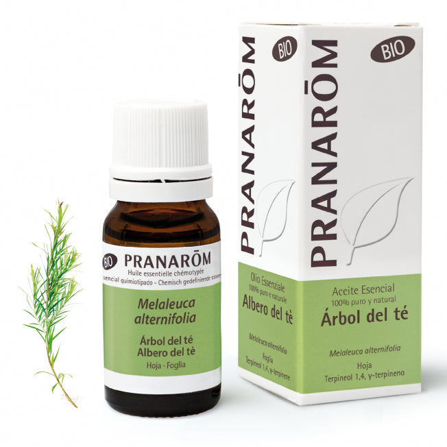 Albero del tè Pranarom - 10ml