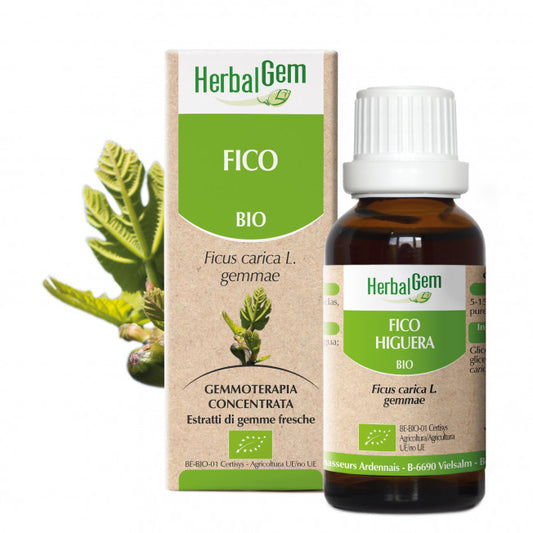 Fico Herbalgem - 30ml