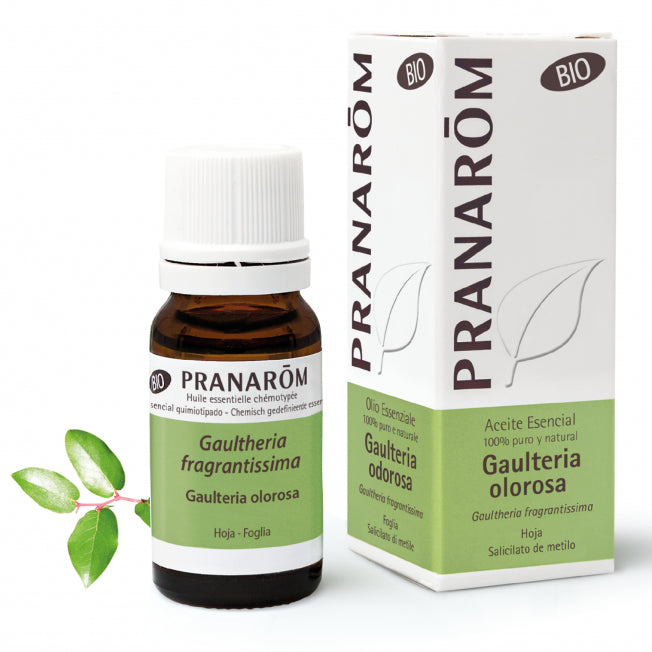 Gaulteria Odoros Pranarom - 10ml