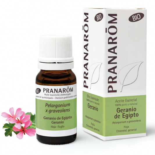 Geranio Pranarom - 10 ml