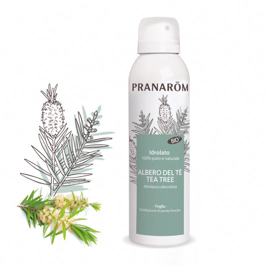 Idrolato Albero del tè Tea Tree Pranarom - 150 ml