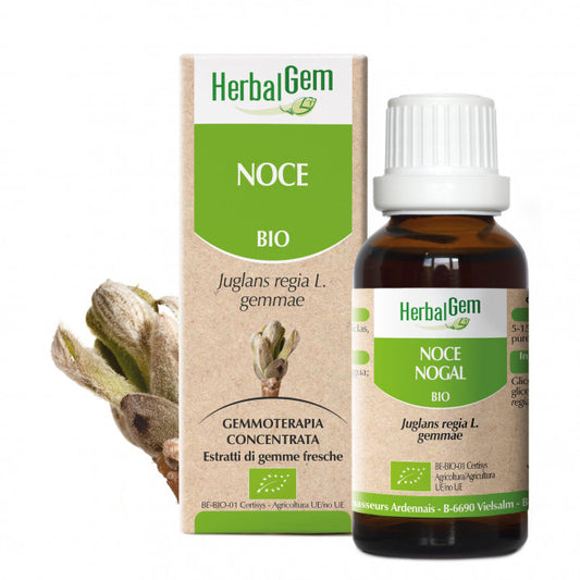 Noce Herbalgem - 30ml