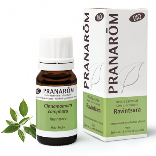 Ravintsara Pranarom - 10 ml