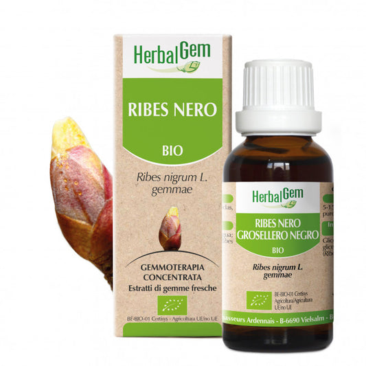 Ribes Nero Herbalgem - 30ml