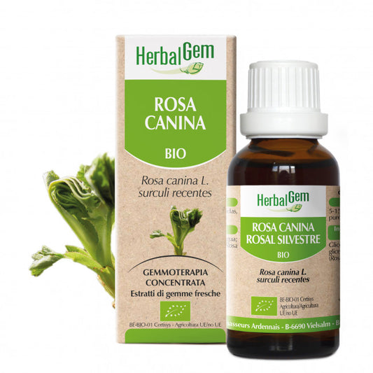 Rosa Canina Herbalgem - 30ml